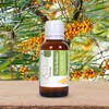 Cloud Bud Cloud Bud Pure Sea Buckthorn Carrier Oil 100ml