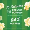 Orville Redenbacher's SmartPop! Kettle Corn Microwave Popcorn, Mini Bags, 1.16