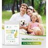 Mullein Tea Bags for Cleanse, Respiratory Support and Mucous Membranes,