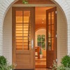Self Closing Door Hinges 2 Pack 4 Inch Spring Hinges