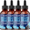 Pure Shilajit Liquid Drops, High Potency Himalayan Shilajit Drops, Enriched