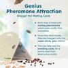 BugMD Pantry Moth Traps (6-Pack) – Pheromone-Based Sticky Glue Traps,