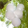 LIHAO Paper Lanterns, White Lanterns, Paper Lanterns, Pack of 10,
