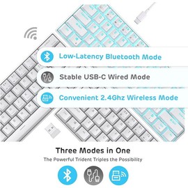 ROYAL KLUDGE RK61 Tri-Mode Wireless Mechanical BROWN SWITCH Keyboard USB24_WBRI