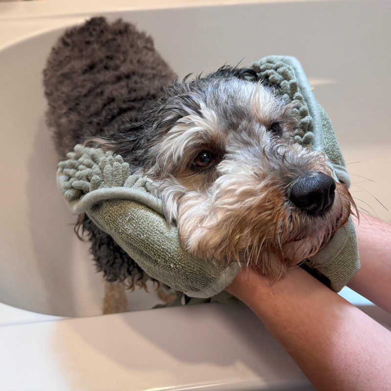 SPOT Clean Paws Chenille Microfiber Dog Towel, Super Absorbent with