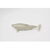 C/O Beluga Whale, Movable Parts Beautiful Plastic Replica 4.5" Long