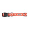 THE WORTHY DOG Collar for Medium Dogs, Adjusts 12-18 inches,