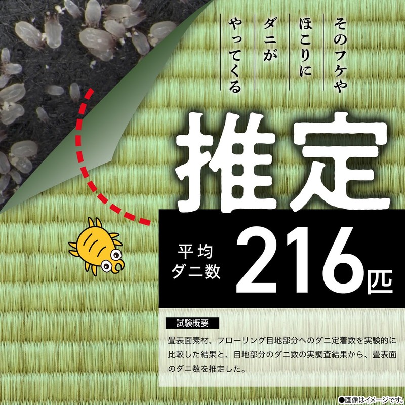 LEC Balsan Super Drop Tatami Dust Mite Prevention Wet Sheet