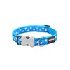 Red Dingo Bucklebone Dog Collar Design, Stars White on Turquoise,