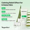 VEGANIFECT Aloe Cica Wrapping Peel Off Facial Mask with Jelly