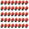 Tegg Wooden Ladybug Sticker 100PCS 3D Tiny Red Ladybird Flatback
