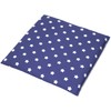Organic Spelt Cushion 24 x 24 cm Stars Blue - Small Grain Cushion as Heat Cushion and/or Cooling Compress