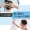 GATSBY Perfect Shampoo, Men's Scalp Care, Damage Care