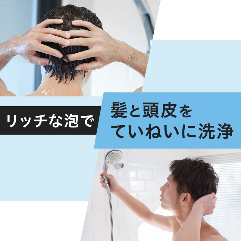 GATSBY Perfect Shampoo, Men's Scalp Care, Damage Care