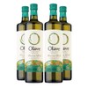 Extra Virgin Chilean Olive Oil by Olave |Premium Blend -