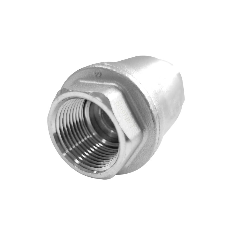 BesNPT 1" NPT Stainless Steel Spring Check Valve,One Way Horizontal