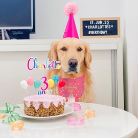 Birthday Girl Dog Bandana Puppy Scarf, Adjustable Triangle Double-Layer Reversible Pet Bandanas for Dogs Girl Birthday Party S