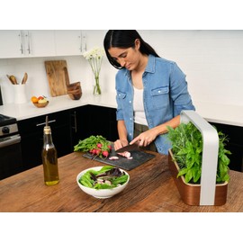 edn SmallGarden Lettuce Mix SeedPods - 10 Pack