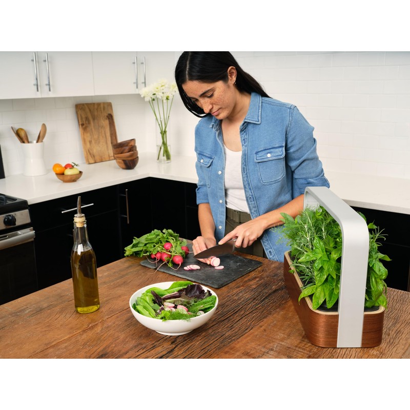 edn SmallGarden Lettuce Mix SeedPods - 10 Pack