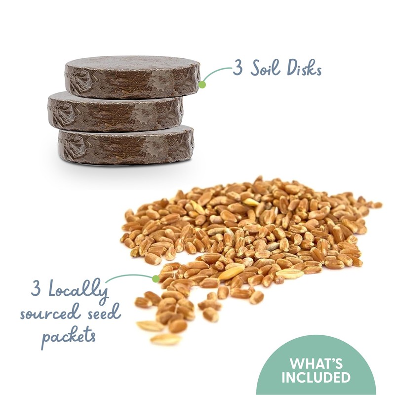 The Cat Ladies Cat Grass Refill Kit 100% Organic 3