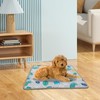 Embhlitfe Pet Cooling Mat for Dogs and Cats,50x40cm Ice Silk