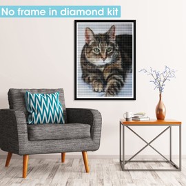 Pavemlo DIY 5D Diamond Painting Kits Cat Diamond Painting Cross Stitch Embroidery Animals Complete Rhinestone Painting Art for Painting Living Room Bedroom Decoration (30 x 40 cm)