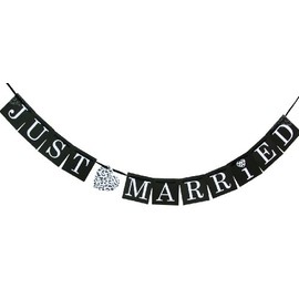 Hortense B. Hewitt Wedding Accessories Just Married Banner