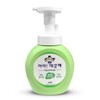 아이깨끗해 청포도 핸디워시 용기 250ml Aikkeutkae Green Grape Handy Wash Container 250ml