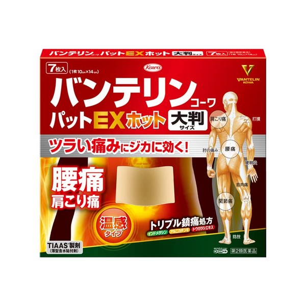 Vantelin [Type 2 pharmaceutical products] Bantelin Cowapat EX Hot large format