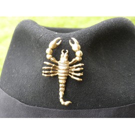 Scorpion brooch pin accessory for t-shirt hat jacket brass metal bronze color with two pin