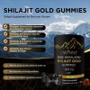 Gwynne Shilajit Gummies Puro Del Himalaya 85 Micronutrientes 3000mg Apto