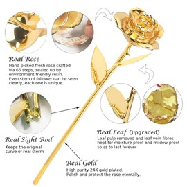 Sinvitron Gold Dipped Rose Real 24K Gold Rose, Hand Dipped One of a Kind Golden Roses, Romantic Gifts for Women on Birthday, Anniversary, Mother’s Day (Golden)