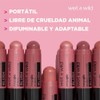 Rubor en Barra Hidratante Tinta para labios y mejillas, con