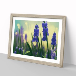 Bluebell Flower Painting Vol.3 H1022 Framed Print for Living Room Bedroom Home Office Décor, Wall Art Picture Ready to Hang, Oak A4 Frame (34 x 25 cm)