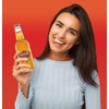 Stewart's Cream Soda, 12 fl oz (24 Glass Bottles)