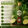Shampoo Huichol Bergamota 400 ml Crecimiento y Anti Frizz