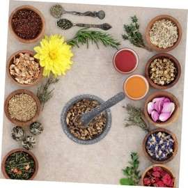 HAKIDZEL 1 Set Manual Meshed Garlic Device Small Vegetable Seasoning Greens Seasoning Garlic Press Seasoning Crusher Garlic Crusher Garlic Crush Pot Kitchen Gadget Kitchen Tools