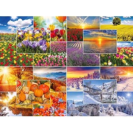Edition Colibri Four Seasons: Set of 20 Postcards Nature/Landscapes (20 Different Designs) in Spring, Summer, Autumn and Winter