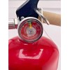First Alert NEW First Alert Fire Extinguisher, Model FE2A10GR -