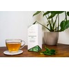 Tregothnan Peppermint Tea Caddy - Box of 14 Individual Loose