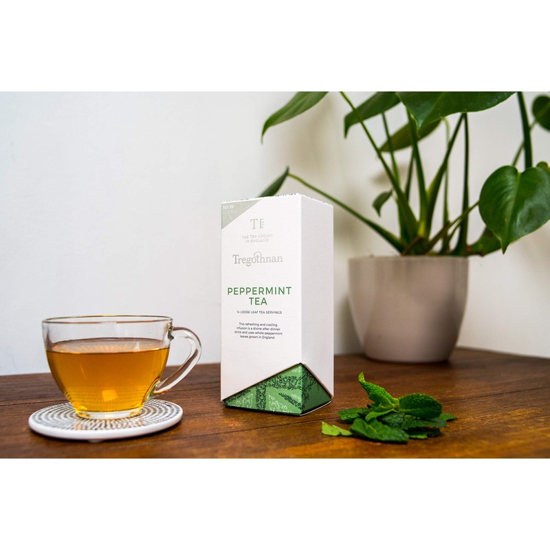Tregothnan Peppermint Tea Caddy - Box of 14 Individual Loose