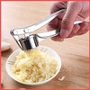Professional Kitchen Garlic Press/Mincer/Crusher, Kitchen Ginger Crusher Mincer Chopper, User-Friendly