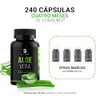 Extracto de Aloe Vera de 240 Cpsulas de Gel 600