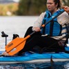 Pelican - Telescoping Universal Emergency Paddle - Collapsible Kayak Oar
