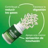Arbora Antigas Pack Blue Green Lacteos Leguminosas Digestion