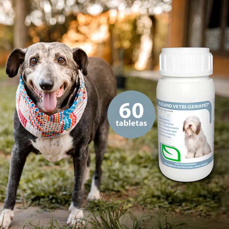 Ruiland Geriapet Suplemento Especializado Para Perros Mayores 60 Tabletas