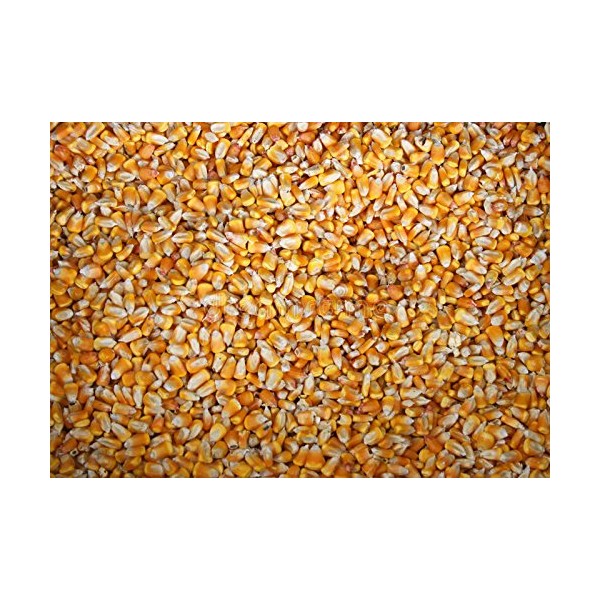 4 Pounds Whole Kernel Feed Corn - Made in USA - Make Corn Meal