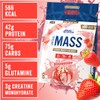 Applied Nutrition Critical Mass Professional Lean Mass Gainer