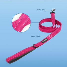 Voyager Reflective Dog Leash with Neoprene Handle, 6ft Long, Supports Small, Medium, and Large Breed Puppies, Cute and Heavy Duty for Walking, Running, and Training - Fuchsia, L