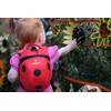 LittleLife Toddler Backpack Ladybird with Safety Reins